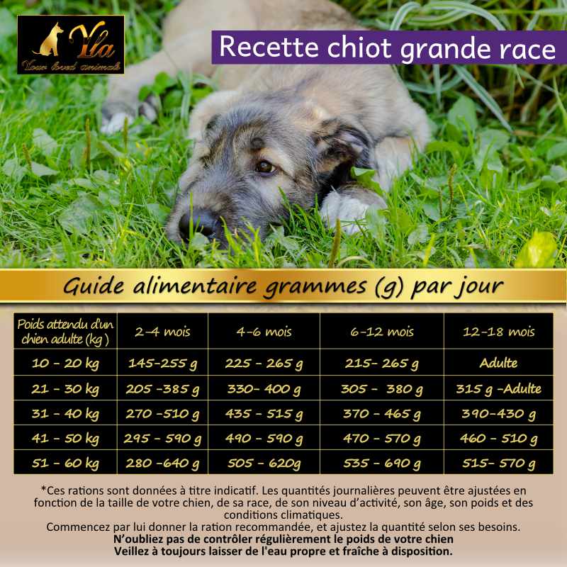 Croquettes Au Saumon Sans C R Ale Pour Chiots De Grande Race